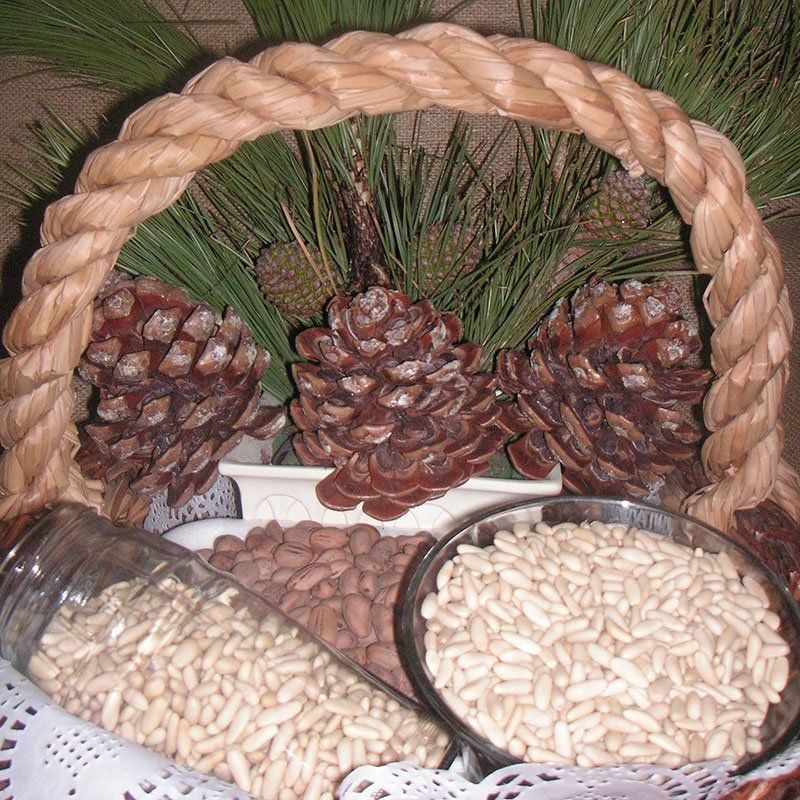 BIZCOCHO CON PIÑONES