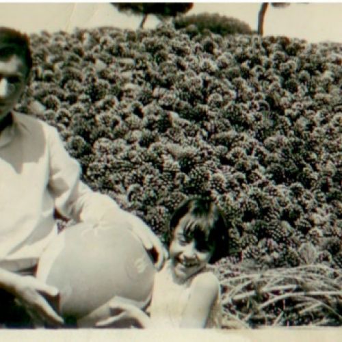 Instalaciones de Piñones Muñoz Lozano