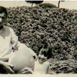 Instalaciones de Piñones Muñoz Lozano