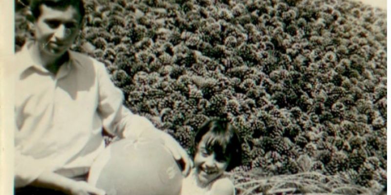 Instalaciones de Piñones Muñoz Lozano