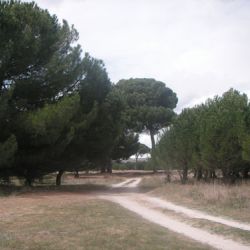 Instalaciones de Piñones Muñoz Lozano