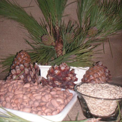 Instalaciones de Piñones Muñoz Lozano