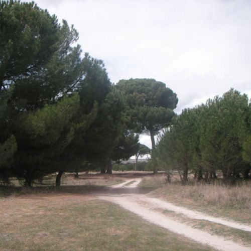 Instalaciones de Piñones Muñoz Lozano