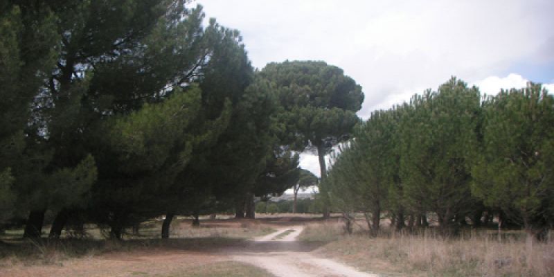 Instalaciones de Piñones Muñoz Lozano