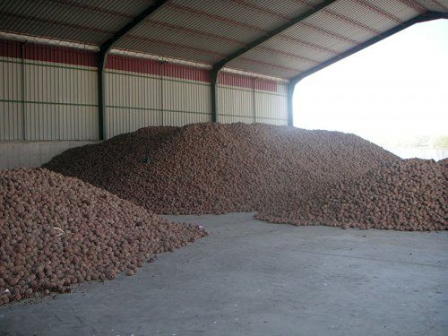 Pedrajas de San Esteban