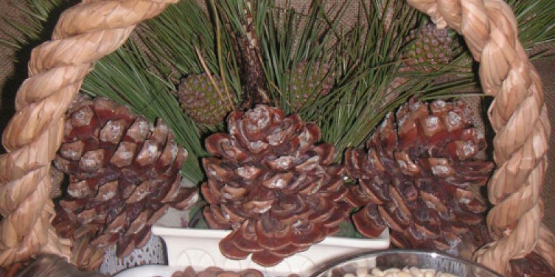 Instalaciones de Piñones Muñoz Lozano