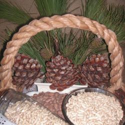 Instalaciones de Piñones Muñoz Lozano