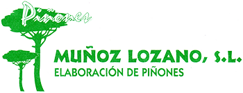 PIÑONES MUÑOZ LOZANO